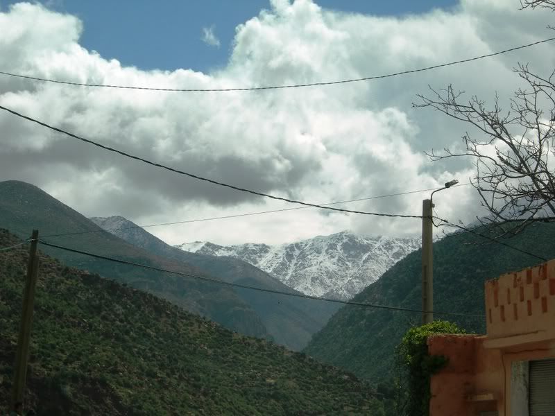 DSCN6082.jpg