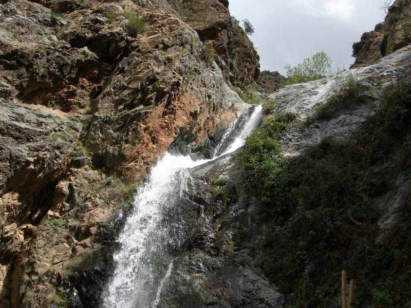 DSCN6116.jpg