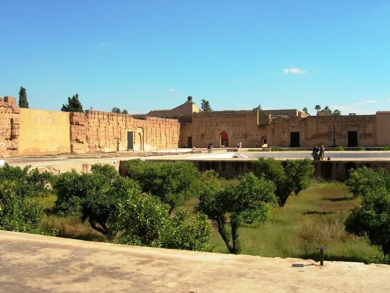 DSCN6613.jpg