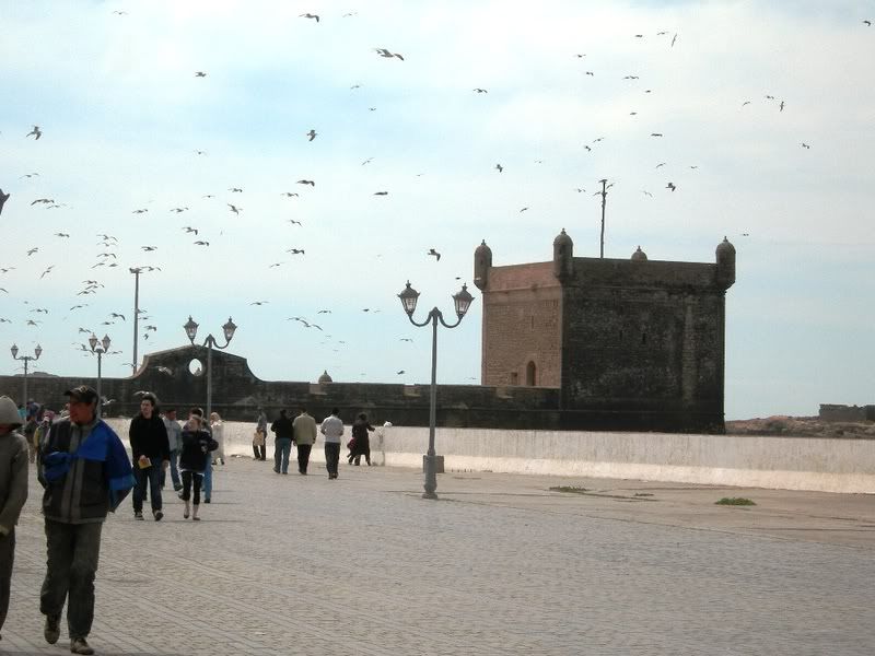 DSCN6964.jpg