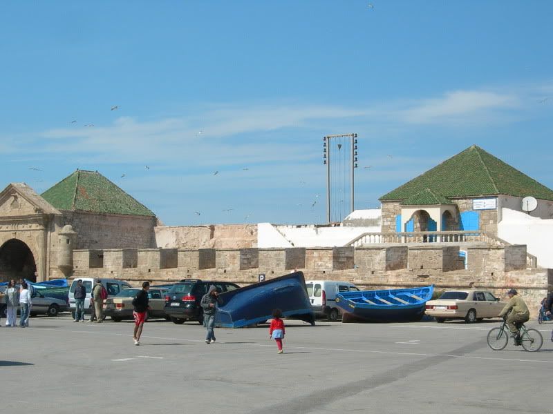 DSCN7001.jpg