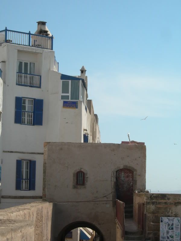 DSCN7022.jpg