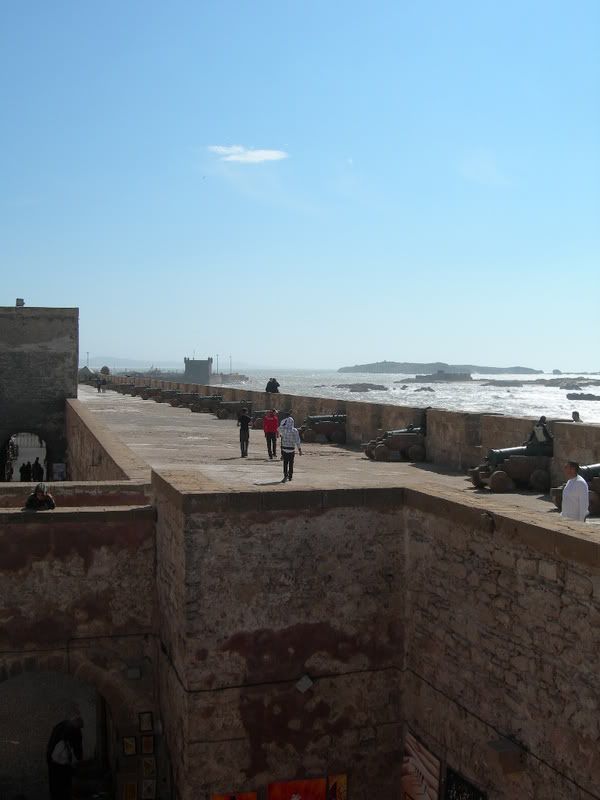 DSCN7045.jpg