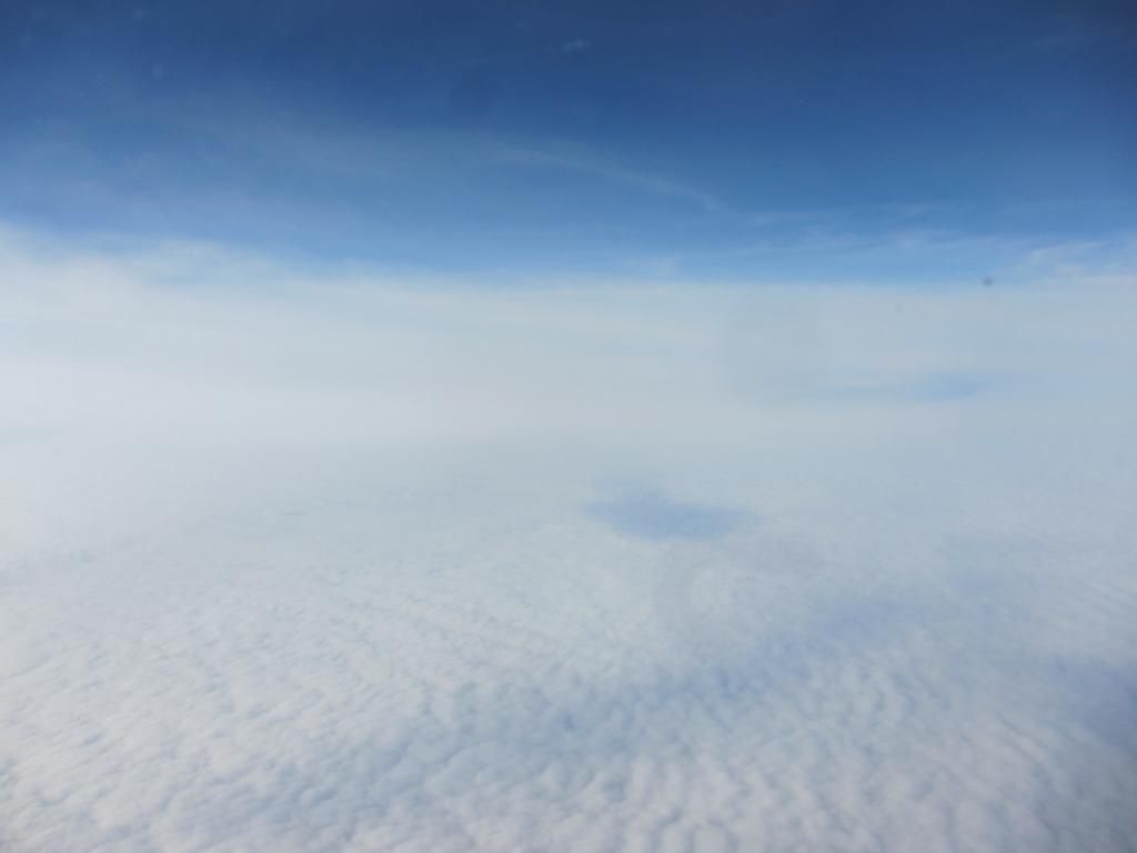 IMG_3922_zps0ac121fa.jpg