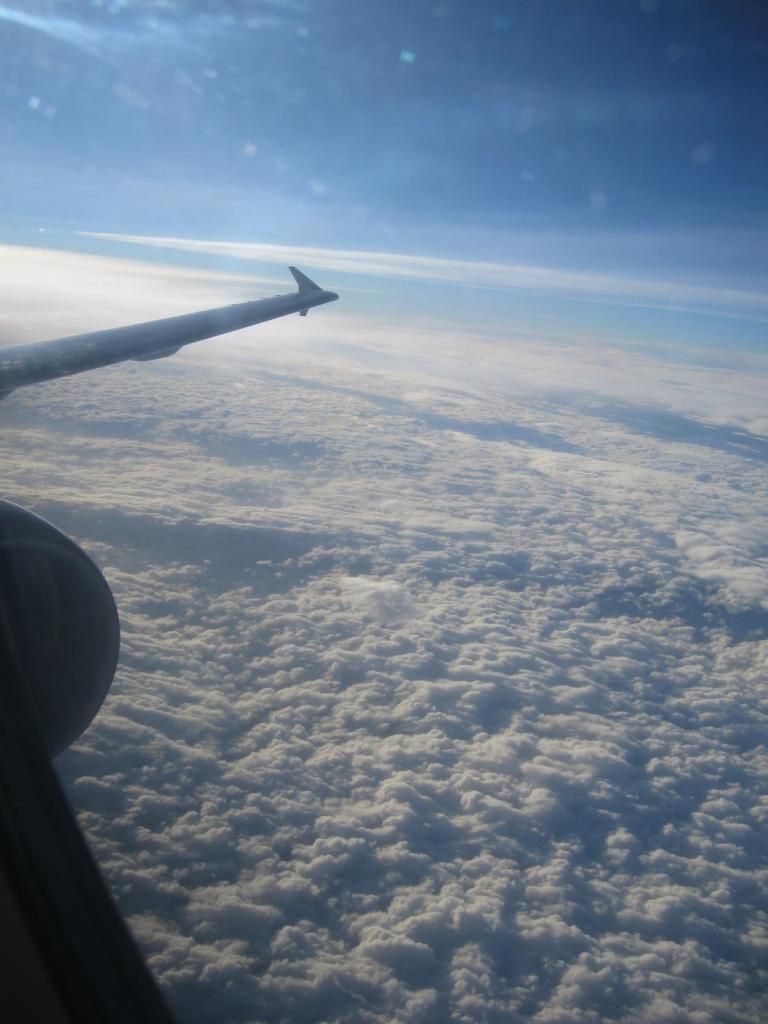 IMG_8842_zps28355066.jpg