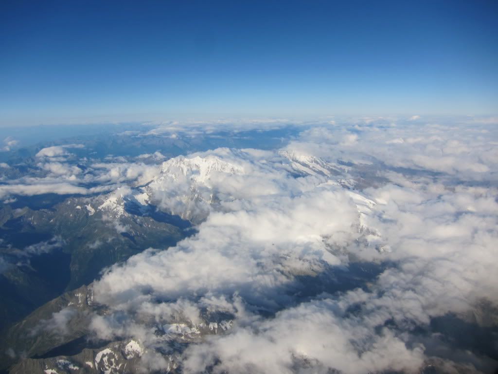 IMG_2316.jpg
