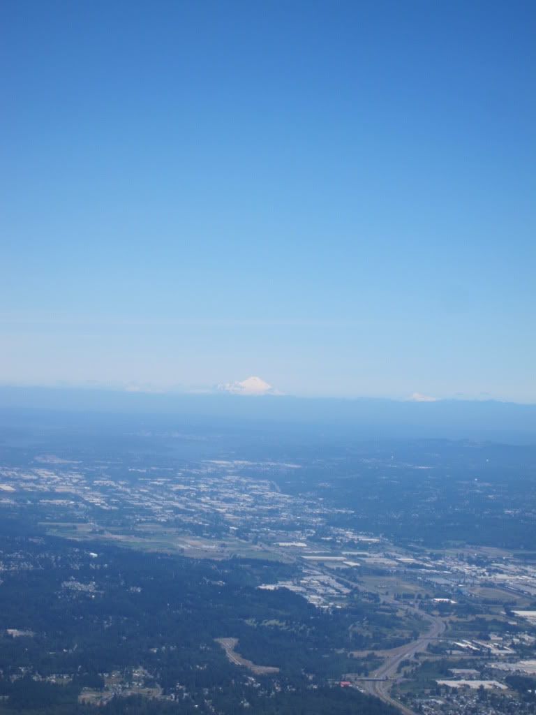 IMG_2395.jpg