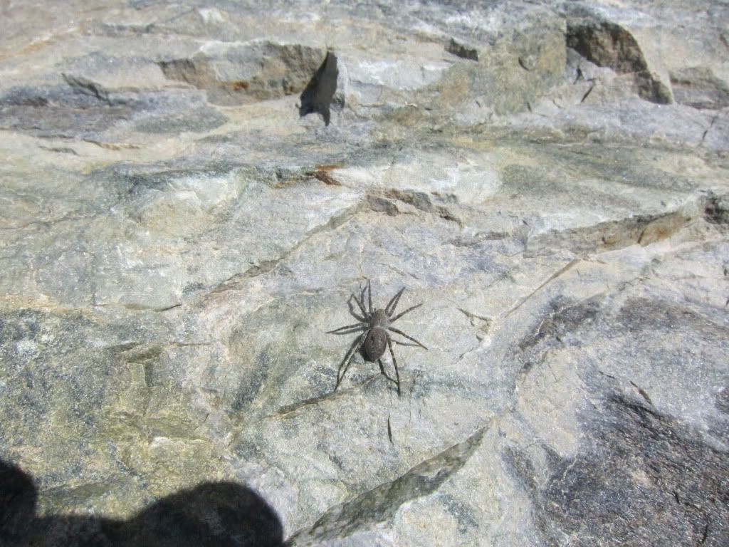 IMG_4499.jpg