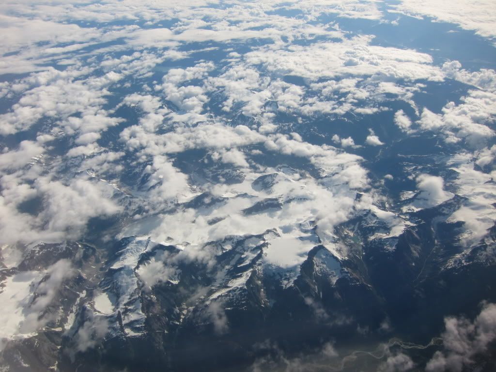 IMG_5417.jpg