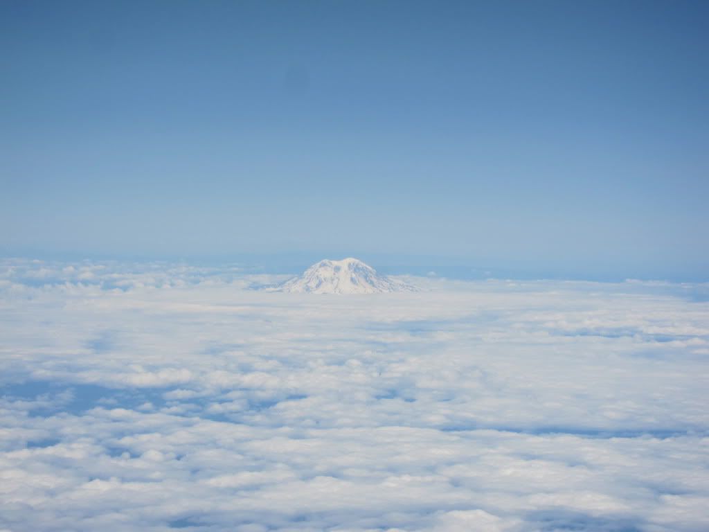 IMG_5458.jpg