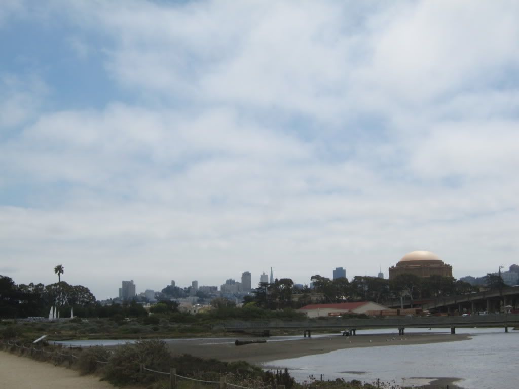 IMG_5575.jpg