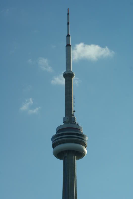 DSC02900.jpg