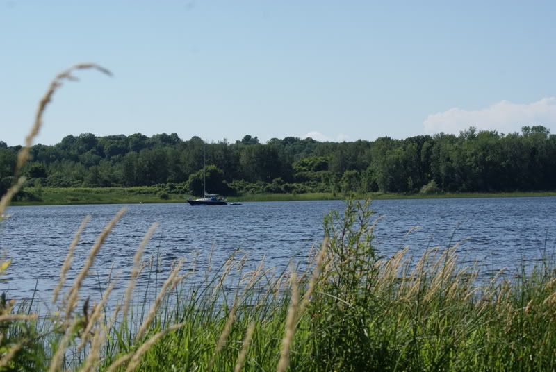 DSC02961.jpg