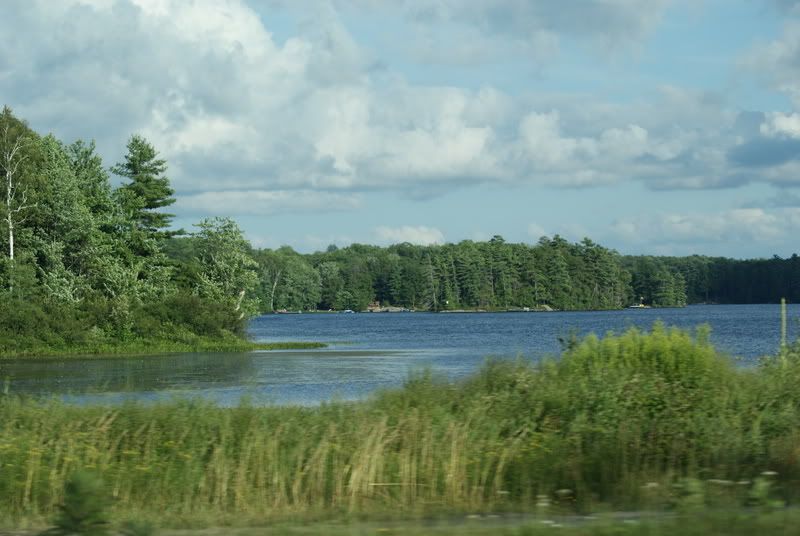 DSC03073.jpg