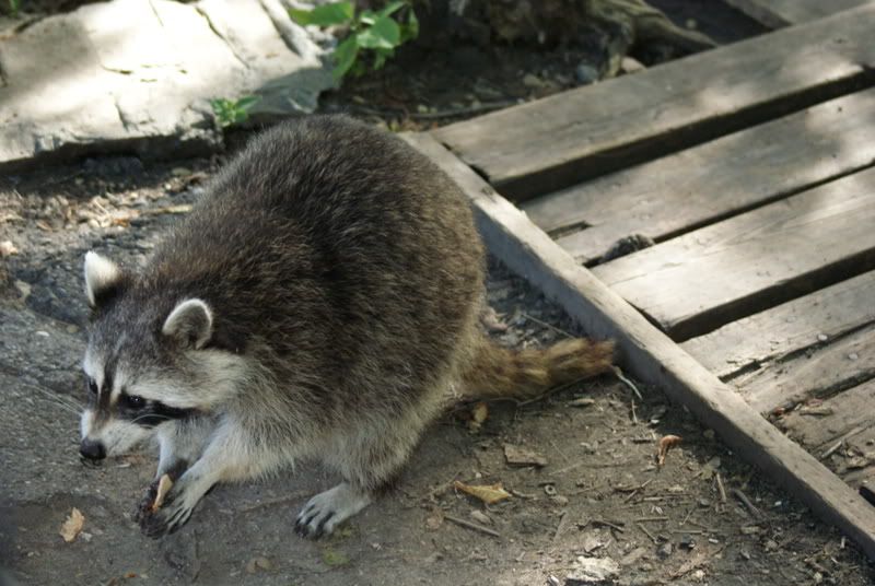 DSC03384.jpg