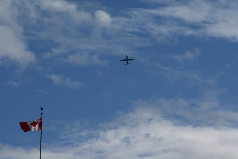 DSC03393.jpg