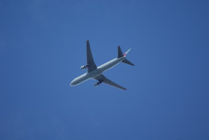 DSC03395.jpg