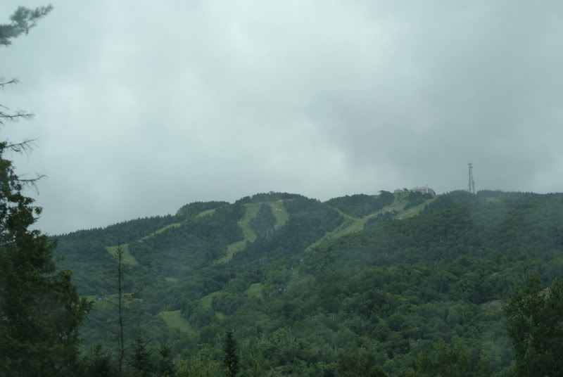 DSC03548.jpg
