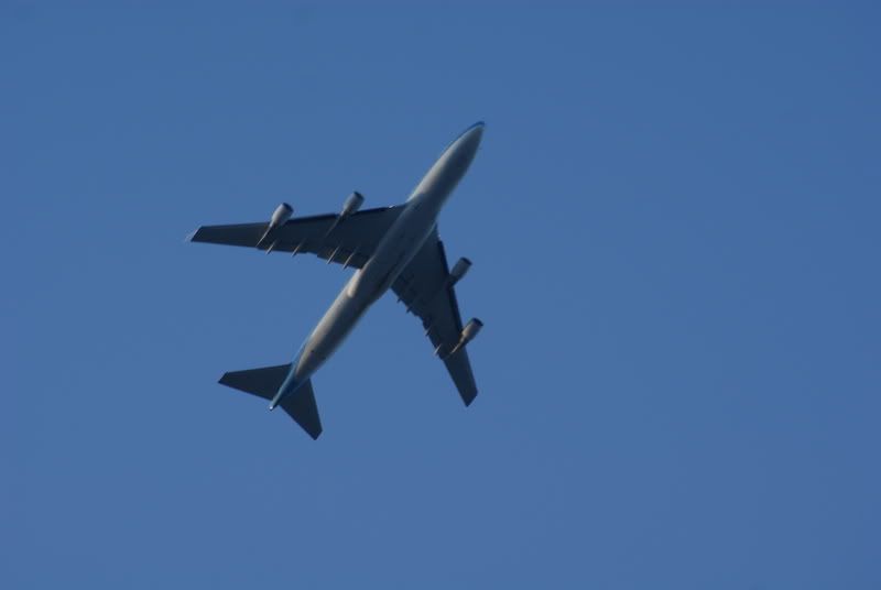 DSC03721.jpg
