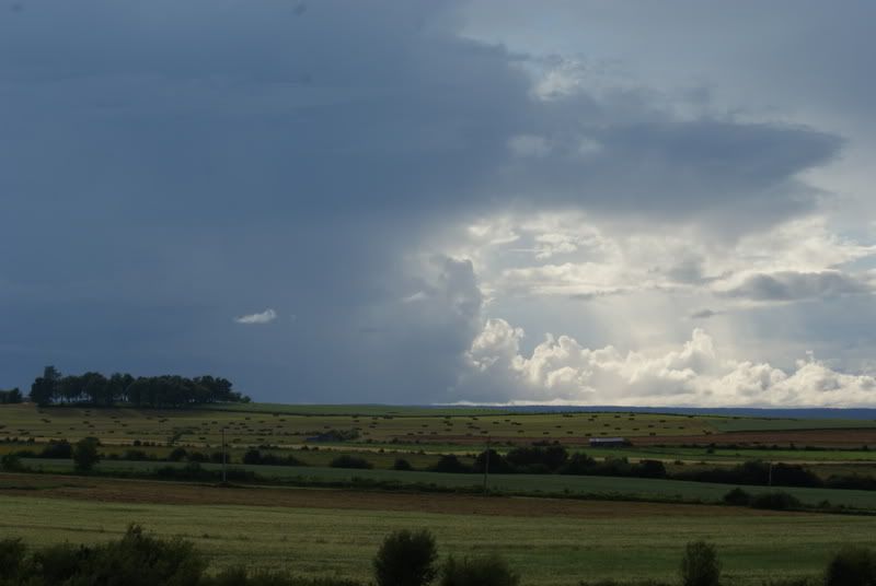 DSC04250.jpg