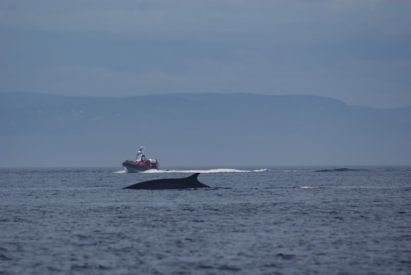 DSC04504.jpg