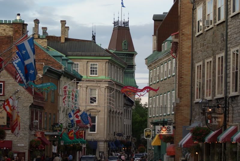 DSC04960.jpg