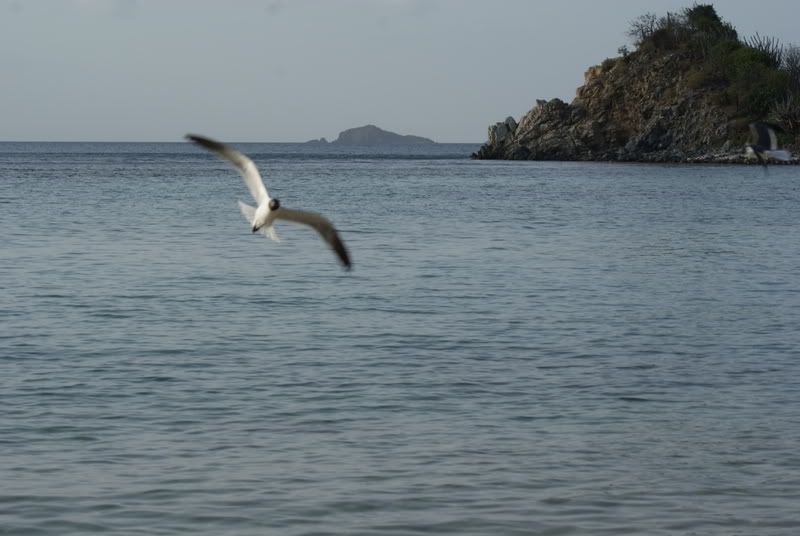 DSC04980.jpg