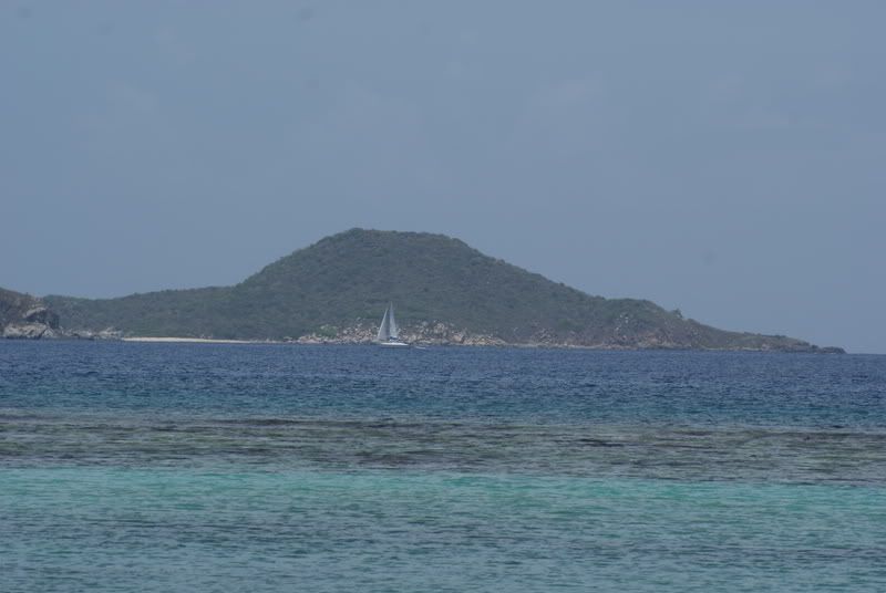 DSC05017.jpg