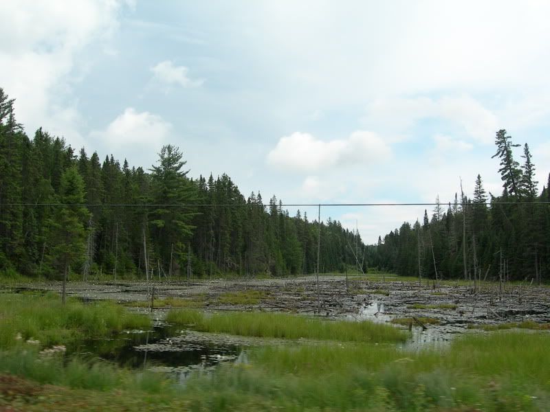 DSCN0206.jpg