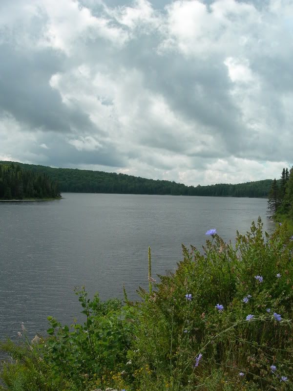 DSCN0214.jpg