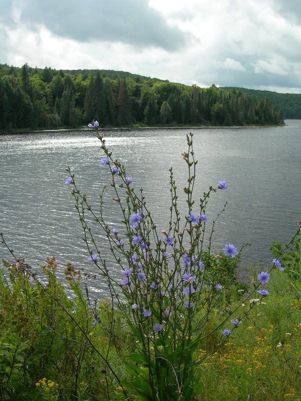 DSCN0222.jpg
