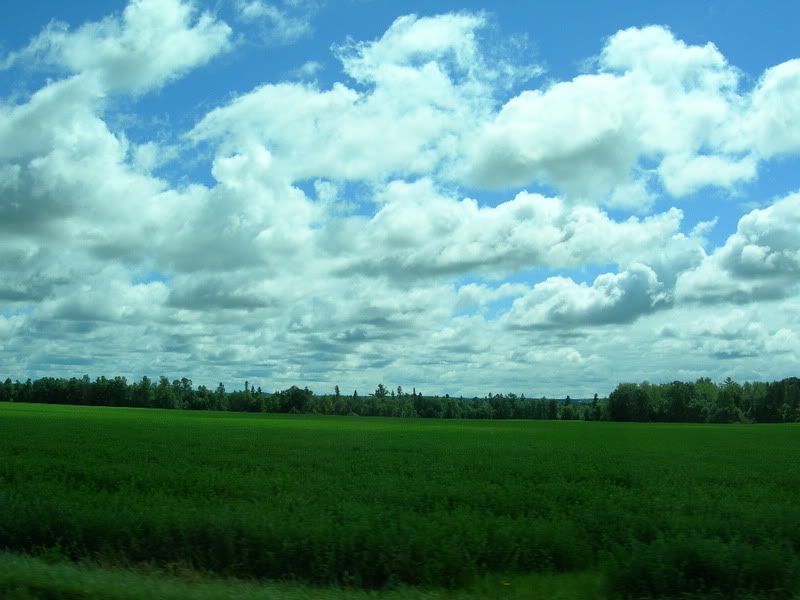 DSCN0316.jpg