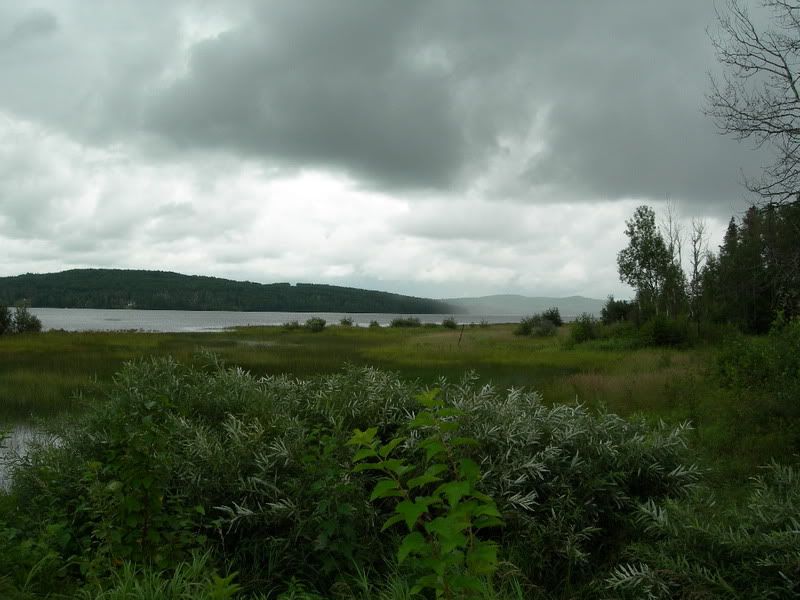 DSCN1362.jpg