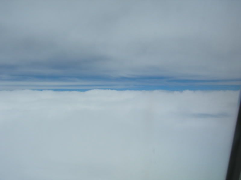 DSCN2282.jpg