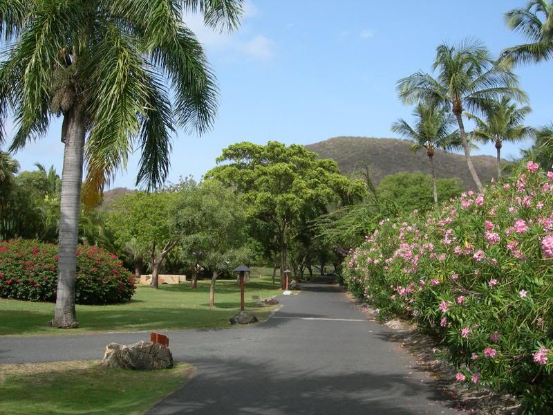 DSCN2487.jpg