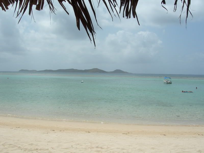 DSCN2509.jpg