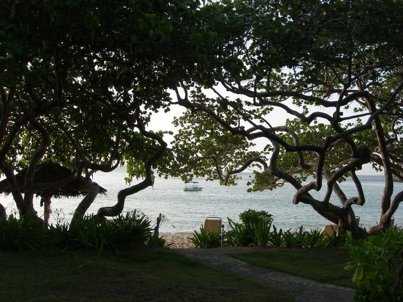 DSCN2521.jpg