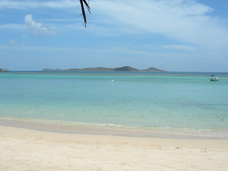 DSCN2596.jpg