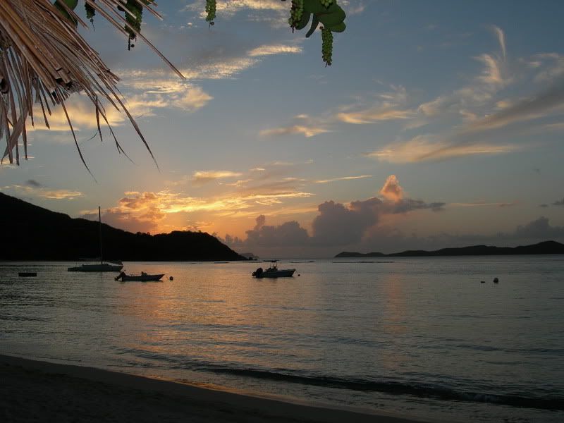 DSCN2727.jpg