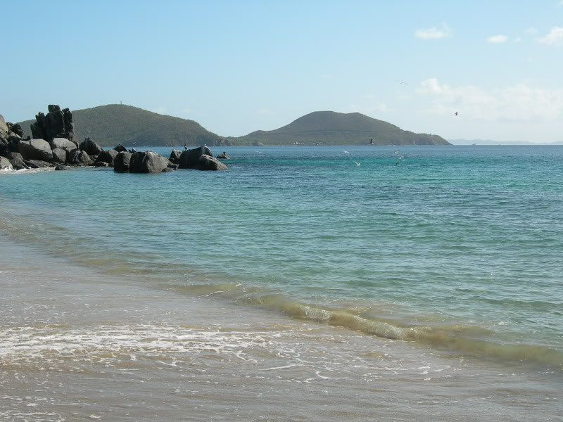 DSCN2767.jpg
