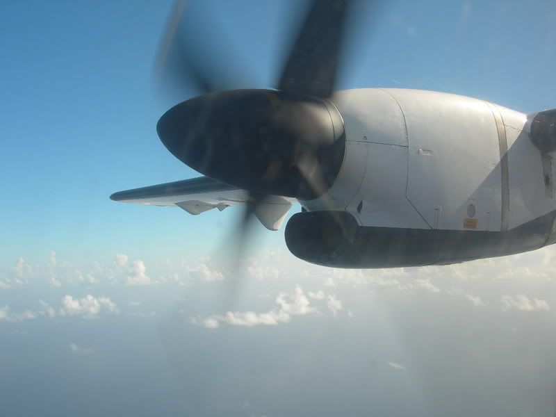 DSCN2946.jpg