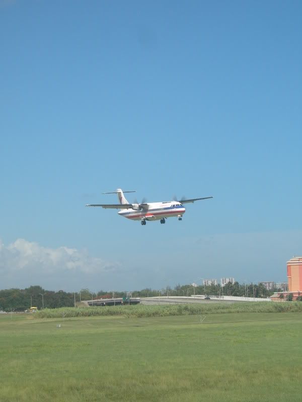 DSCN2968.jpg