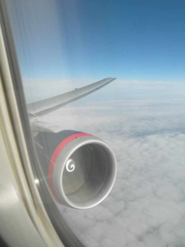 DSCN3078.jpg