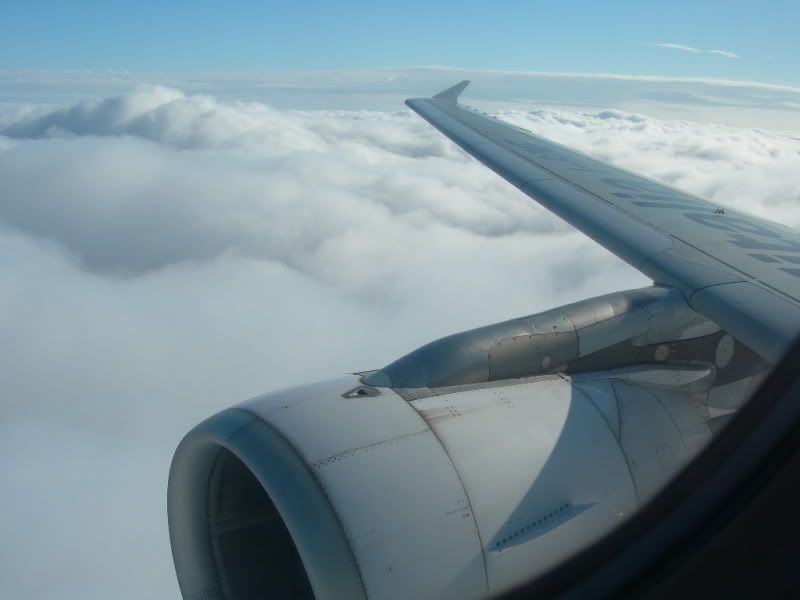 DSCN0335.jpg