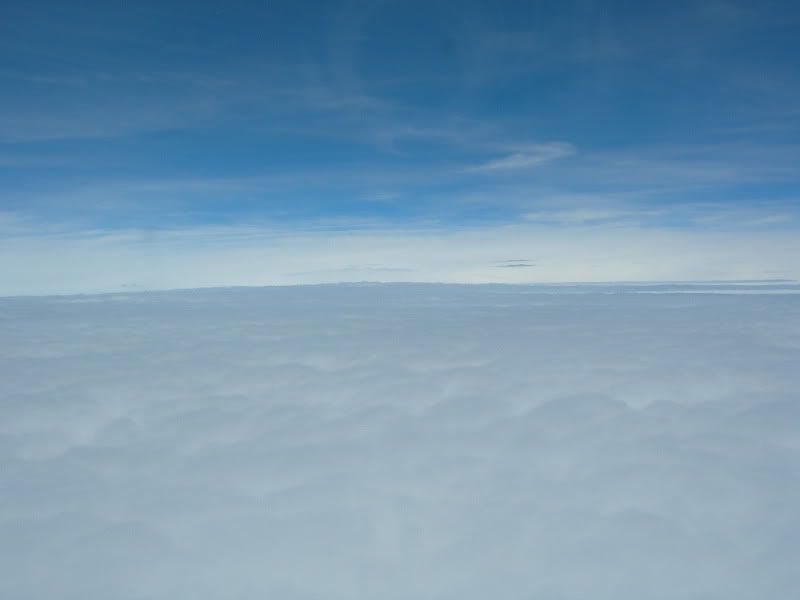DSCN0381.jpg