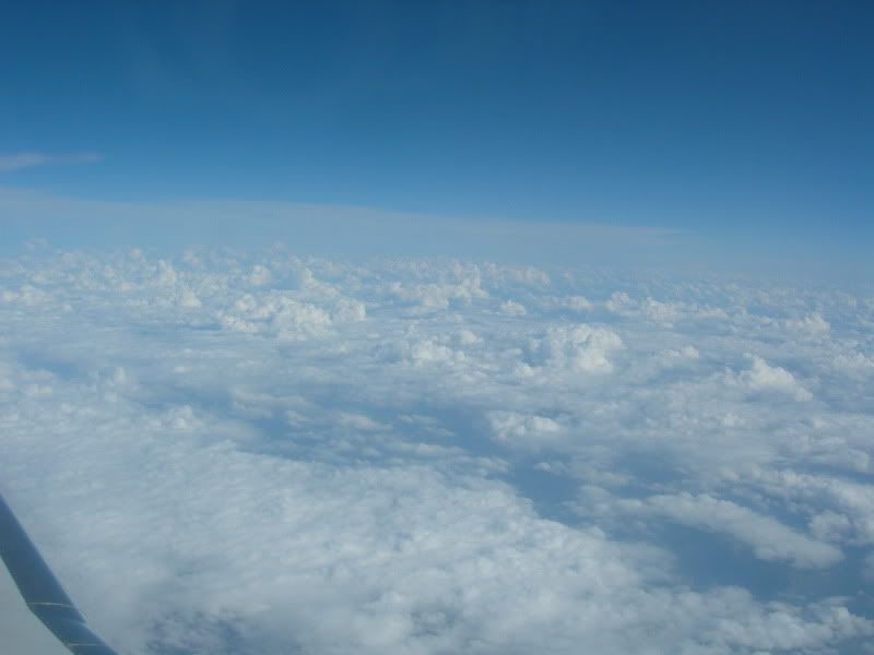 DSCN0392.jpg