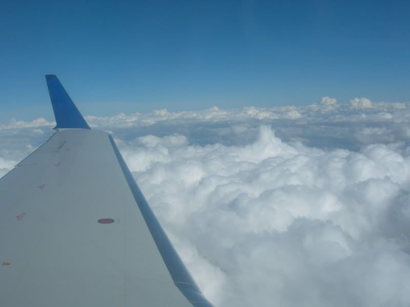 DSCN0396.jpg