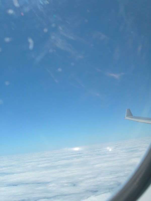 DSCN0463.jpg