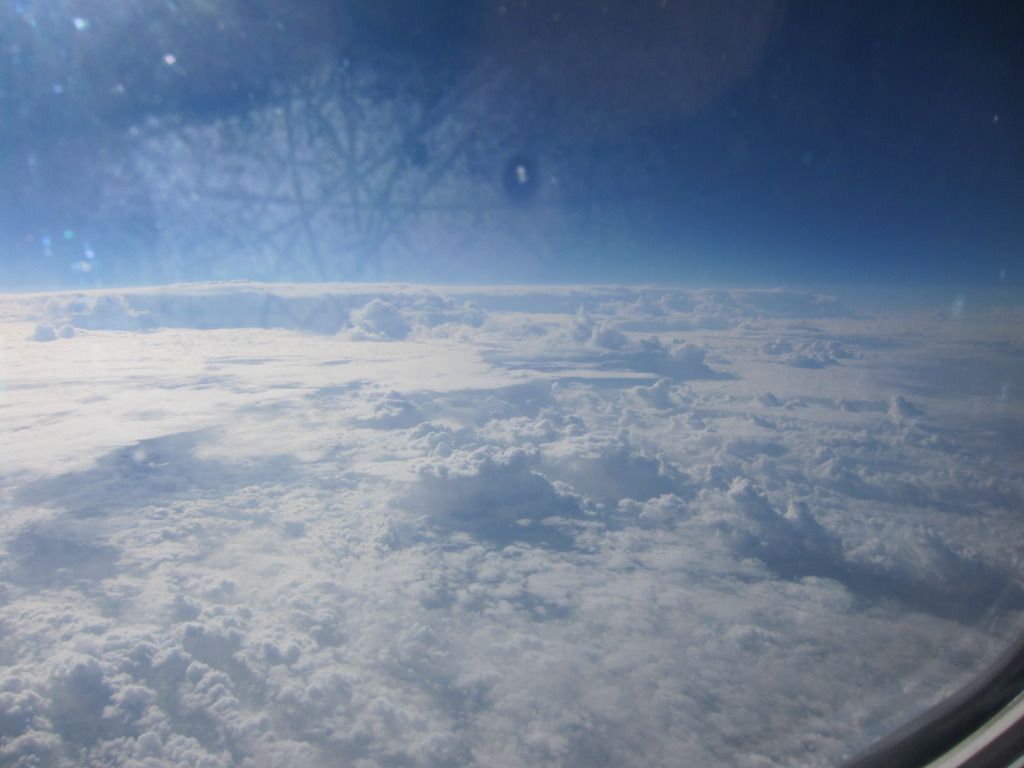 IMG_8360.jpg