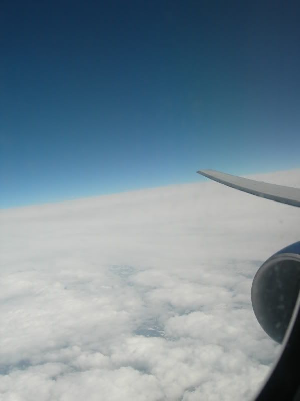 DSCN9988.jpg